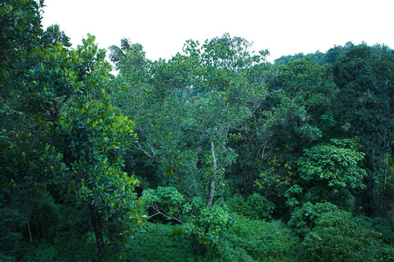 Lamond Holidays Munnar Exterior photo